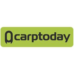 Наклейка Carptoday Green большая для карпфишинга — CARPshop