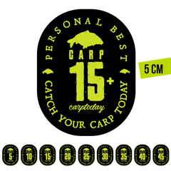 Стикер чёрный Carptoday Personal Best PB Малый 5см, PB: 25+