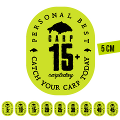 Стикер зелёный Carptoday Personal Best PB для карпфишинга купить в CARPshop