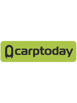 Наклейка Carptoday Green большая