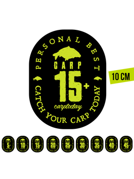 Стикер черный Carptoday Personal Best PB Большой 10см, PB: 5+