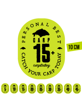 Стикер зелёный Carptoday Personal Best PB Большой 10см, PB: 5+