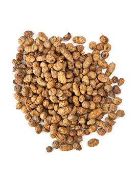 Тигровый орех Carptoday Tiger Nut для карпфишинга — натуральная приманка для ловли карпа, купить в CARPshop