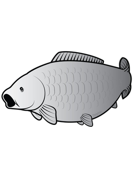 Наклейка Delphin CARP SILVER Sticker / 80x45mm