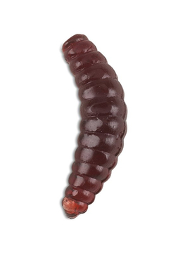 Силиконовые приманки IRON TROUT BEE MAGGOTS / 2.5cm / Broun - 20шт.