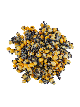 Зерновая смесь MIX №1 Carptoday Baits 1кг (Кукуруза, Конопля) с чесноком, Тип зерновых: Кукуруза + Конопля с чесноком