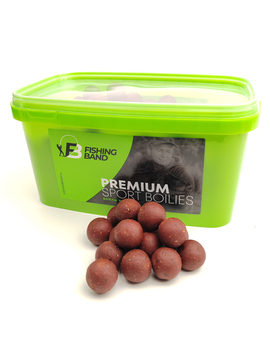 Бойлы вареные прикормочные Fishing Band Source 24 мм 2 кг