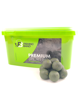 Бойлы варёные прикормочные Fishing Band Mussel 24 мм 2 кг
