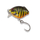 Воблер плавающий IRON TROUT CRANK Floating - 3,0cm / 2,6g / 0,2 - 0,6m / FT Воблер плавающий IRON TROUT CRANK Floating - 3,0cm / 2,6g / 0,2 - 0,6m / FT