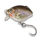 Воблер плавающий IRON TROUT CRANK Floating - 3,0cm / 2,6g / 0,2 - 0,6m / RB Воблер плавающий IRON TROUT CRANK Floating - 3,0cm / 2,6g / 0,2 - 0,6m / RB
