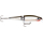 Воблер RAPALA BX Swimmer 12 /S