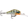 Воблер RAPALA Shadow Rap Fat Jack 04 /BG Воблер RAPALA Shadow Rap Fat Jack 04 /BG