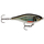 Воблер RAPALA X-Rap Twitchin' Shad 08 /ROL Воблер RAPALA X-Rap Twitchin' Shad 08 /ROL