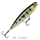 Воблер RAPALA Precision Xtreme Pencil 127 /PEL для спиннинга — CARPshop