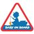 Наклейка DELPHIN BABY on BOARD для карпфишинга 100x87mm — CARPshop