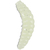 Силиконовые приманки BEE MAGGOTS 2.5см White Glitter для ловли форели — CARPshop