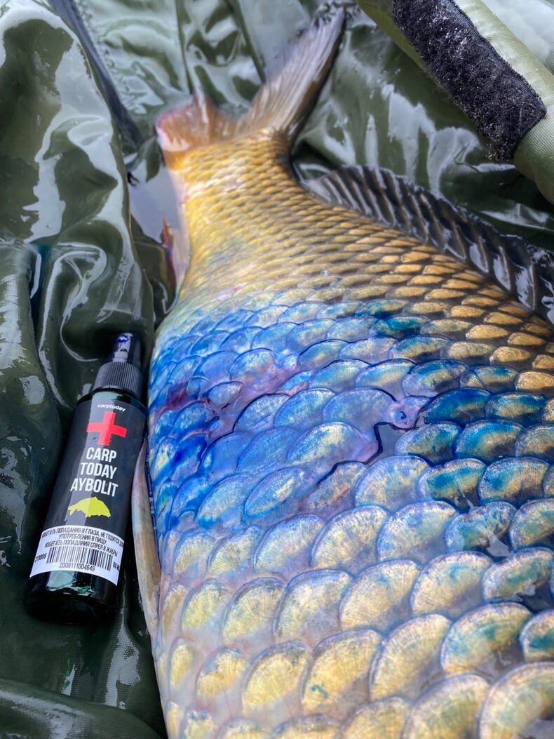 Антисептик Carptoday AYBOLIT Spray — фото 3 — CARPshop