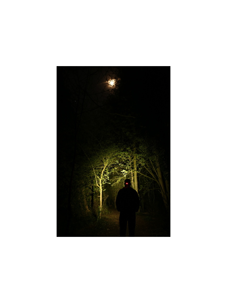 Фонарь налобный FOX Halo AL320 Headtorch, изображение 4