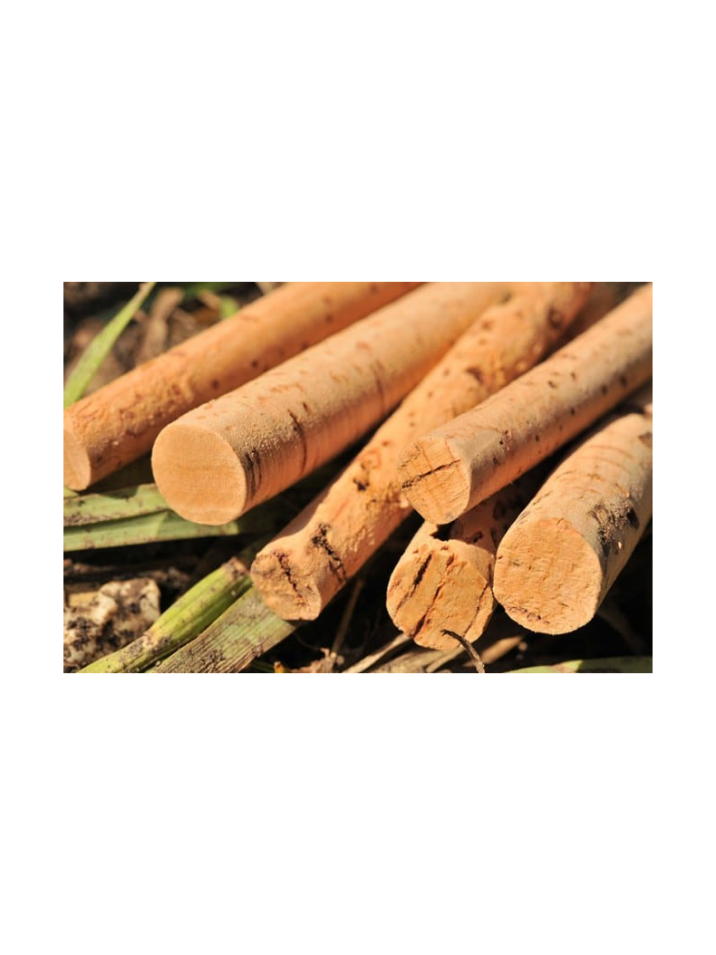 Набор из сверла и пробковых палочек Korda Drill & Cork Sticks, Диаметр: 8 мм, изображение 3 Набор из сверла и пробковых палочек Korda Drill & Cork Sticks, Диаметр: 8 мм, изображение 3