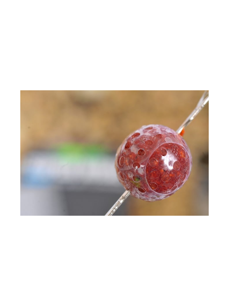 Защитная пленка для бойлов Korda Super Wrap, Размер: Large , изображение 4