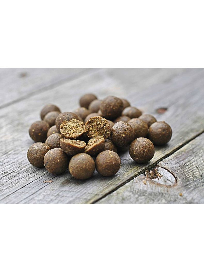 Тонущие бойлы Dynamite Baits Hot Fish & GLM (острая рыба и зеленогубая мидия) 1kg, Диаметр: 15 мм, изображение 2 Тонущие бойлы Dynamite Baits Hot Fish & GLM (острая рыба и зеленогубая мидия) 1kg, Диаметр: 15 мм, изображение 2