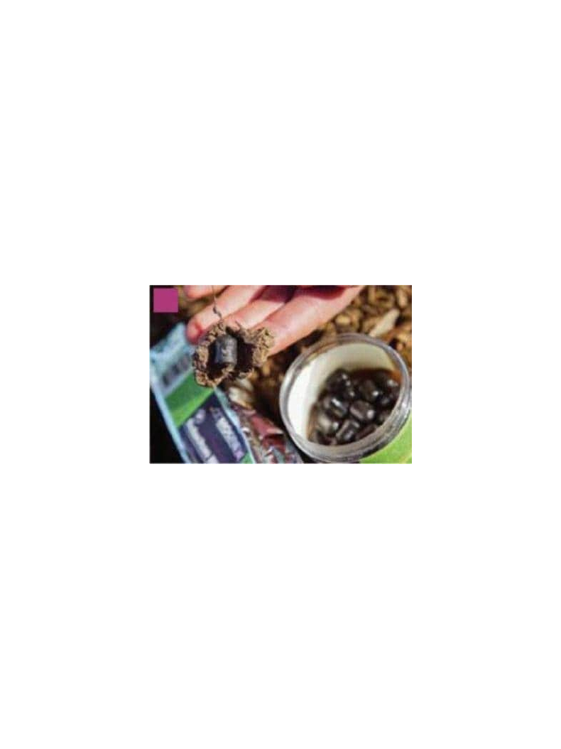 Паста CCMOORE Belachan Paste Block (Белачан) 250g, изображение 3