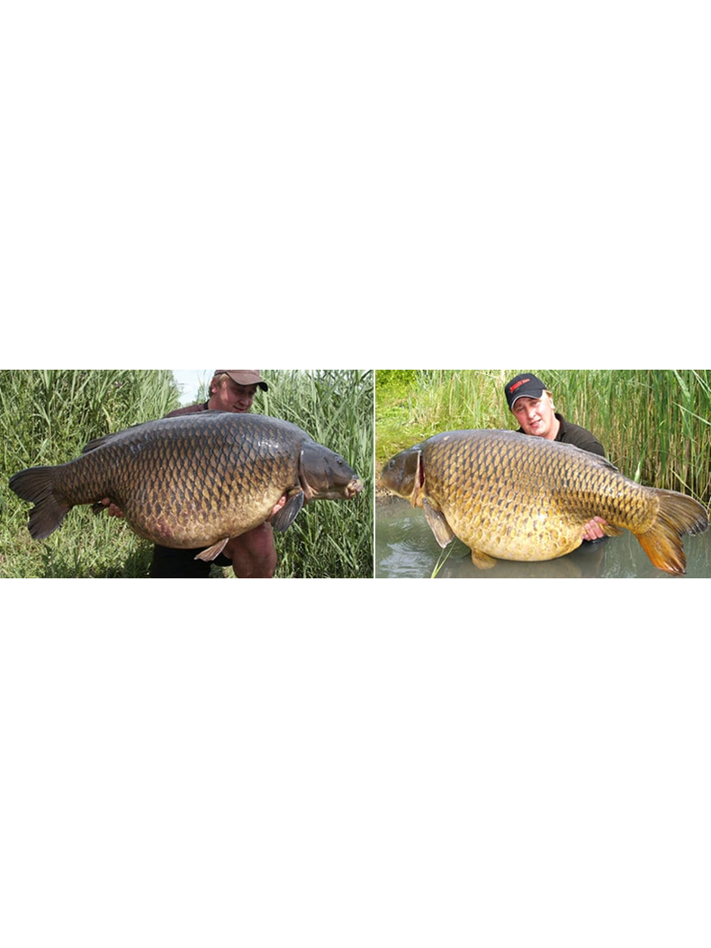 Тонущие бойлы Dynamite Baits Hot Fish & GLM (острая рыба и зеленогубая мидия) 1kg, Диаметр: 15 мм, изображение 4 Тонущие бойлы Dynamite Baits Hot Fish & GLM (острая рыба и зеленогубая мидия) 1kg, Диаметр: 15 мм, изображение 4