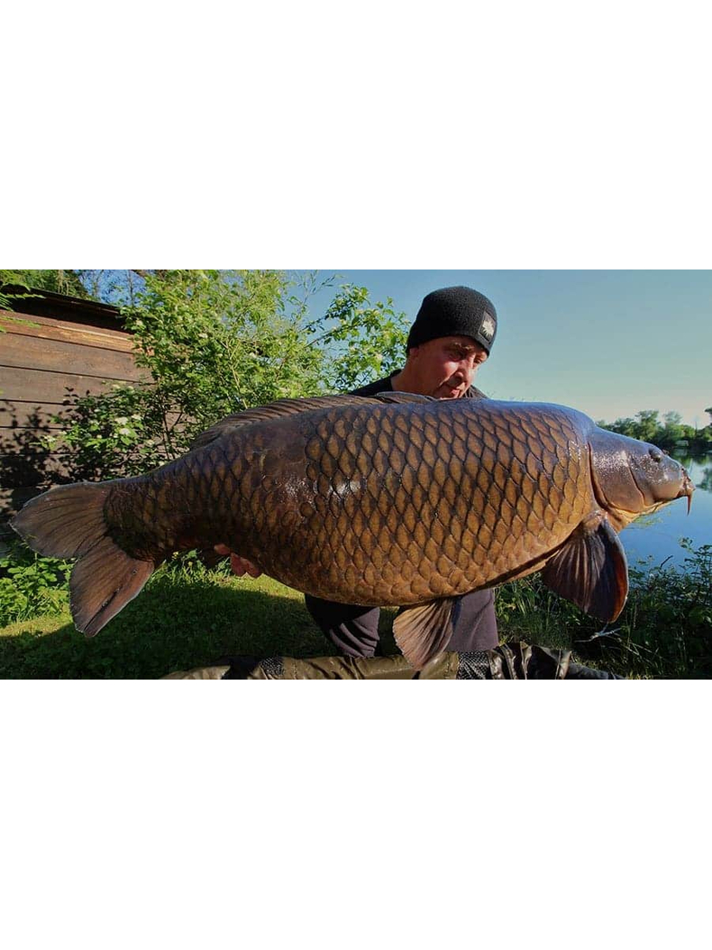 Тонущие бойлы Dynamite Baits Hot Fish & GLM (острая рыба и зеленогубая мидия) 1kg, Диаметр: 15 мм, изображение 6 Тонущие бойлы Dynamite Baits Hot Fish & GLM (острая рыба и зеленогубая мидия) 1kg, Диаметр: 15 мм, изображение 6