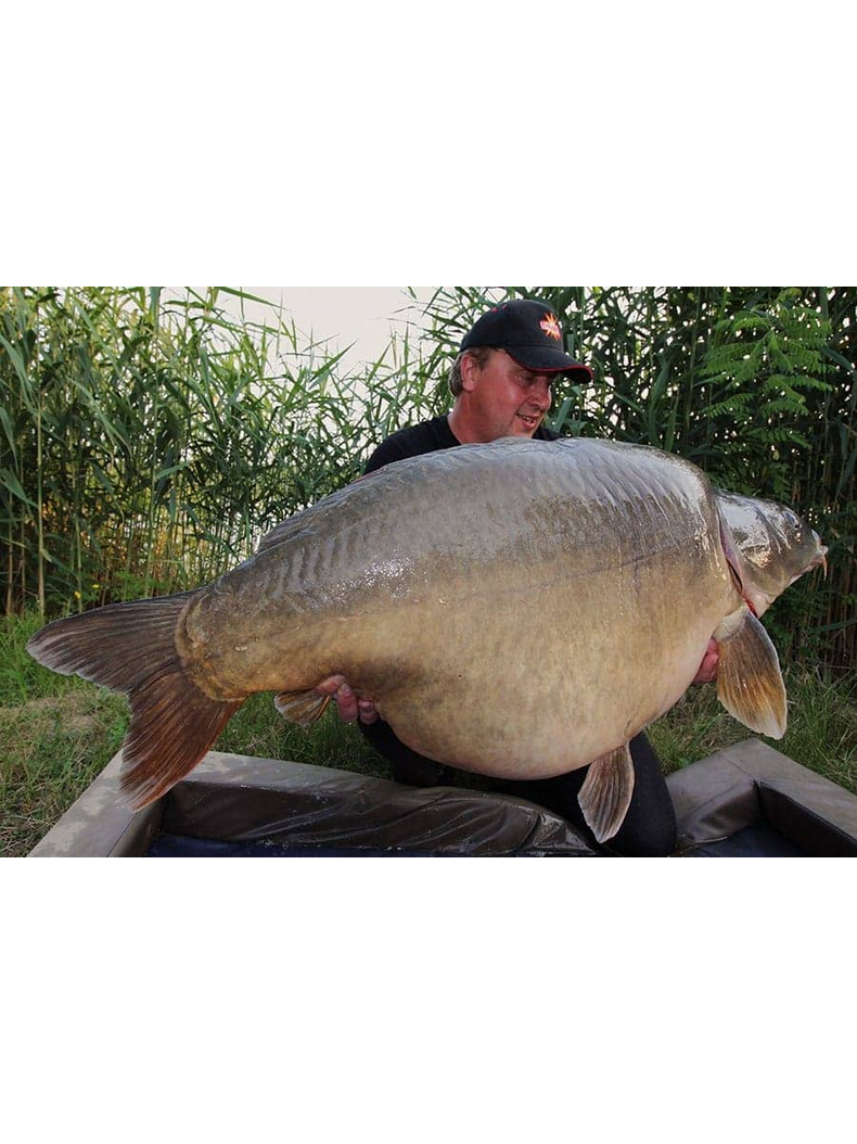 Тонущие бойлы Dynamite Baits Hot Fish & GLM (острая рыба и зеленогубая мидия) 1kg, Диаметр: 15 мм, изображение 5 Тонущие бойлы Dynamite Baits Hot Fish & GLM (острая рыба и зеленогубая мидия) 1kg, Диаметр: 15 мм, изображение 5