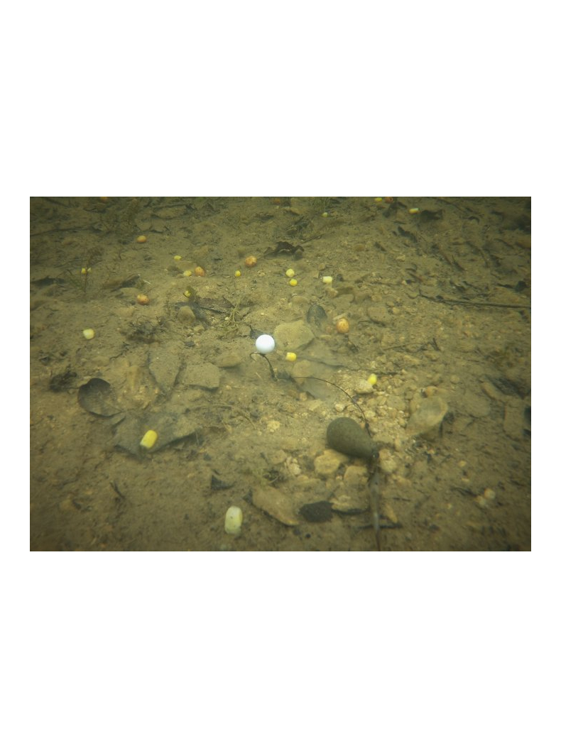 Плавающие искусственные бойлы ESP Buoyant Boilies White/Pink, изображение 5