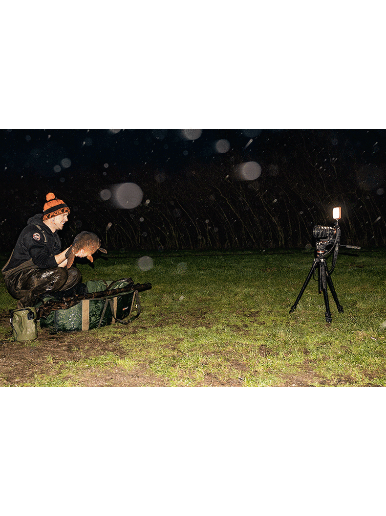 Фонарь многофункциональный FOX Halo Photography Light, изображение 8 Фонарь многофункциональный FOX Halo Photography Light, изображение 8