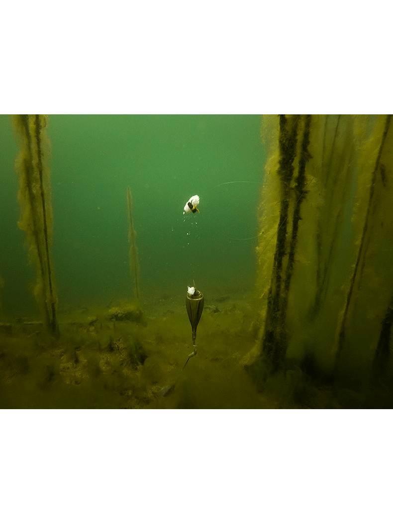 Оснастка для ловли на зиг-риг FOX Zig Float Kit EDGES, изображение 10