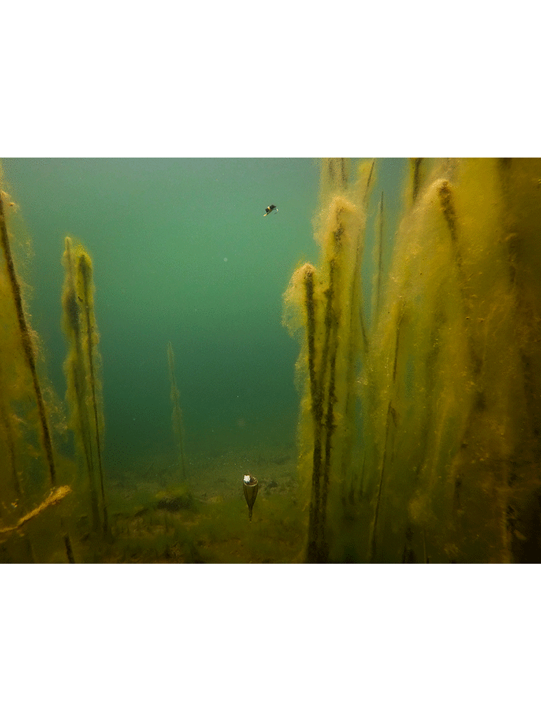 Оснастка для ловли на зиг-риг FOX Zig Float Kit EDGES, изображение 11