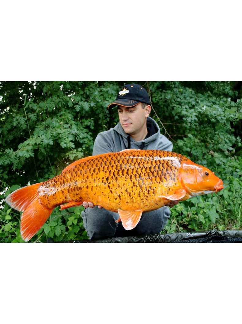 Тонущие бойлы Dynamite Baits Squid & Octopus Hi-Attract (кальмар и осьминог) 1.8kg, Диаметр: 20 мм, изображение 3