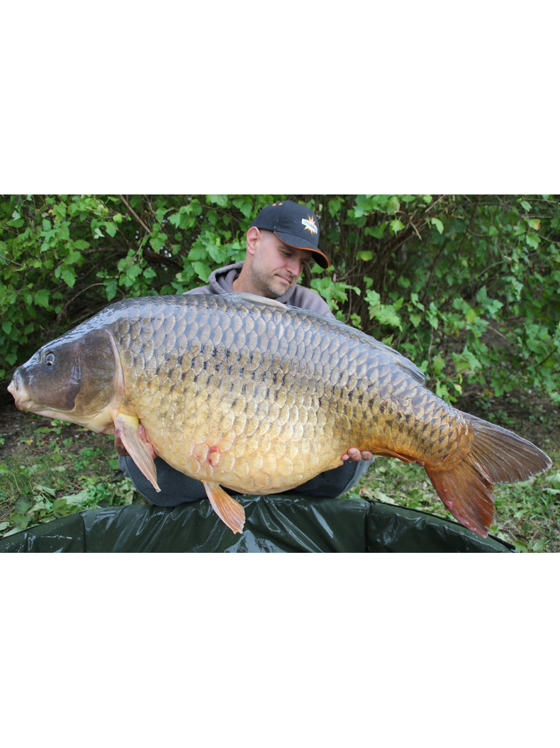 Тонущие бойлы Dynamite Baits Hot Fish & GLM (острая рыба и зеленогубая мидия) 1.8kg, Диаметр: 15 мм, изображение 6