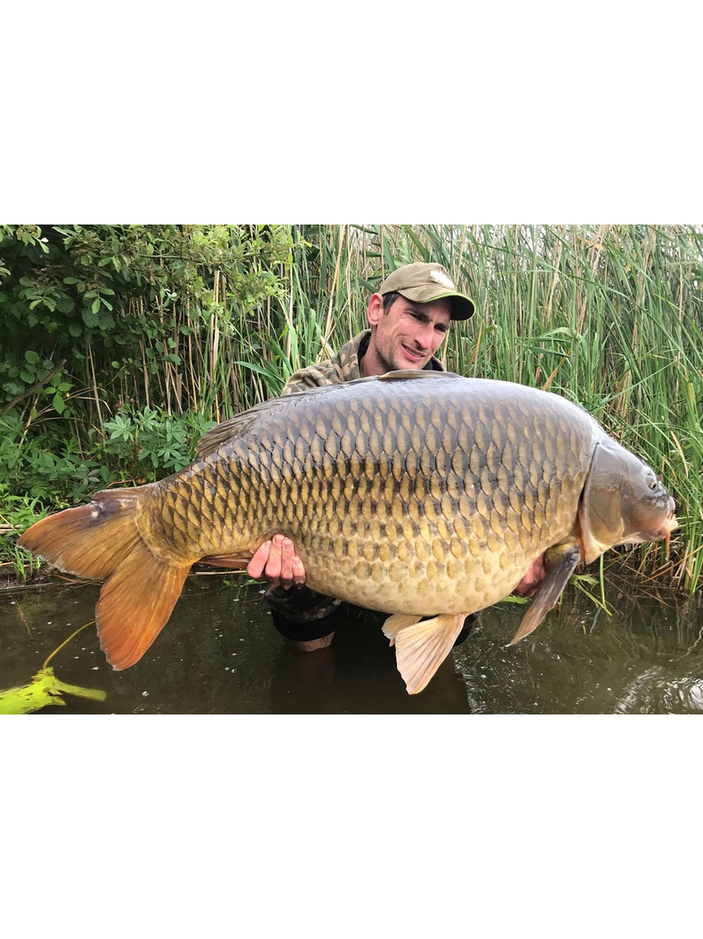 Тонущие бойлы Dynamite Baits Squid & Octopus Hi-Attract (кальмар и осьминог) 1kg, Диаметр: 10 мм, изображение 4