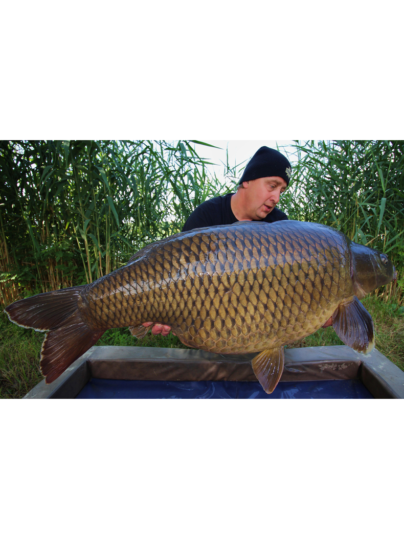 Тонущие бойлы Dynamite Baits Hot Fish & GLM (острая рыба и зеленогубая мидия) 1.8kg, Диаметр: 15 мм, изображение 5