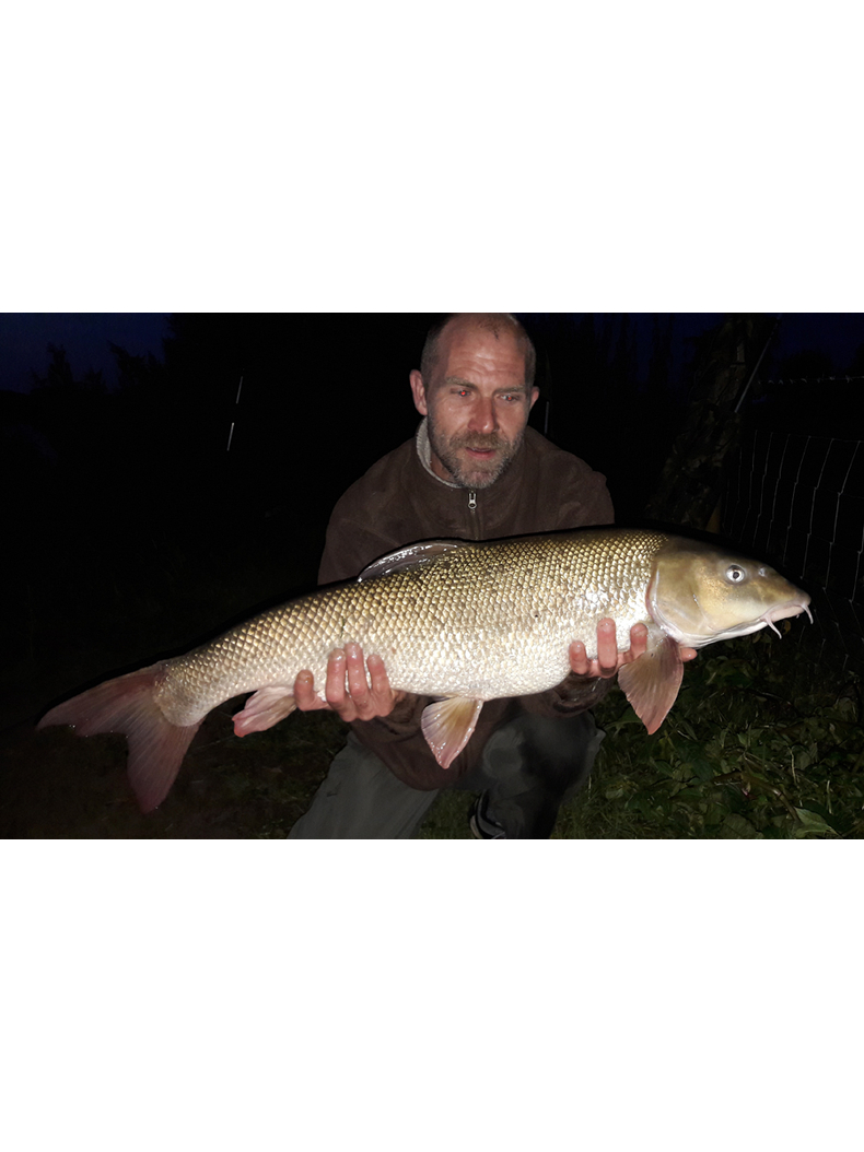 Тонущие бойлы Dynamite Baits Hi-attract Spicy Shrimp & Prawn Boilies (острые креветки) 1.8kg, Диаметр: 20 мм, изображение 6