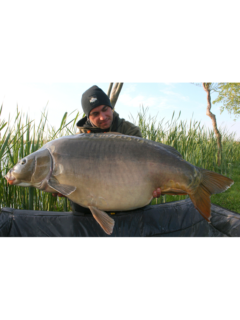 Тонущие бойлы Dynamite Baits Squid & Octopus Hi-Attract (кальмар и осьминог) 1.8kg, Диаметр: 20 мм, изображение 5