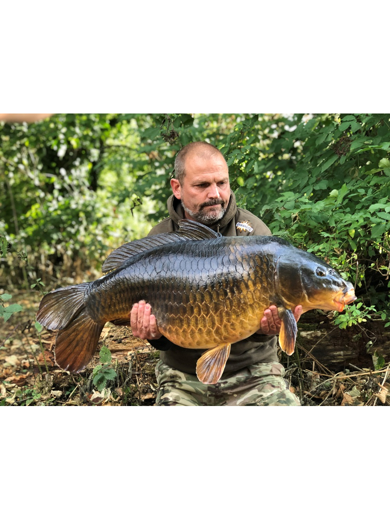 Тонущие бойлы Dynamite Baits Hi-attract Spicy Shrimp & Prawn Boilies (острые креветки) 1.8kg, Диаметр: 20 мм, изображение 5