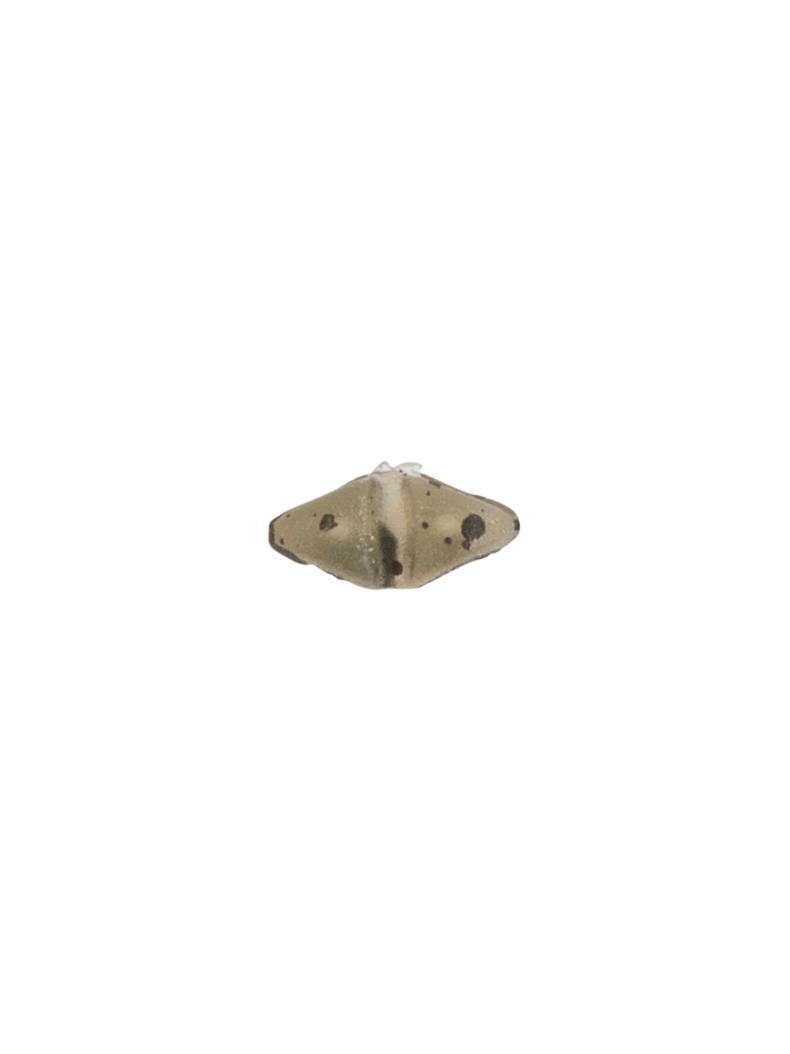 Стопорки AVID CARP Terminal Tackle Boilie Stops, изображение 3 Стопорки AVID CARP Terminal Tackle Boilie Stops, изображение 3