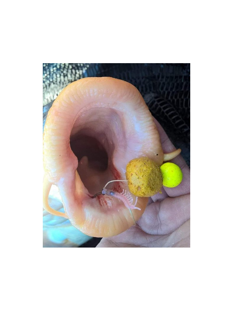 Трубка для крючка PB Products SHRIMP Aligner, Цвет: Бесцветный, изображение 4 Трубка для крючка PB Products SHRIMP Aligner, Цвет: Бесцветный, изображение 4