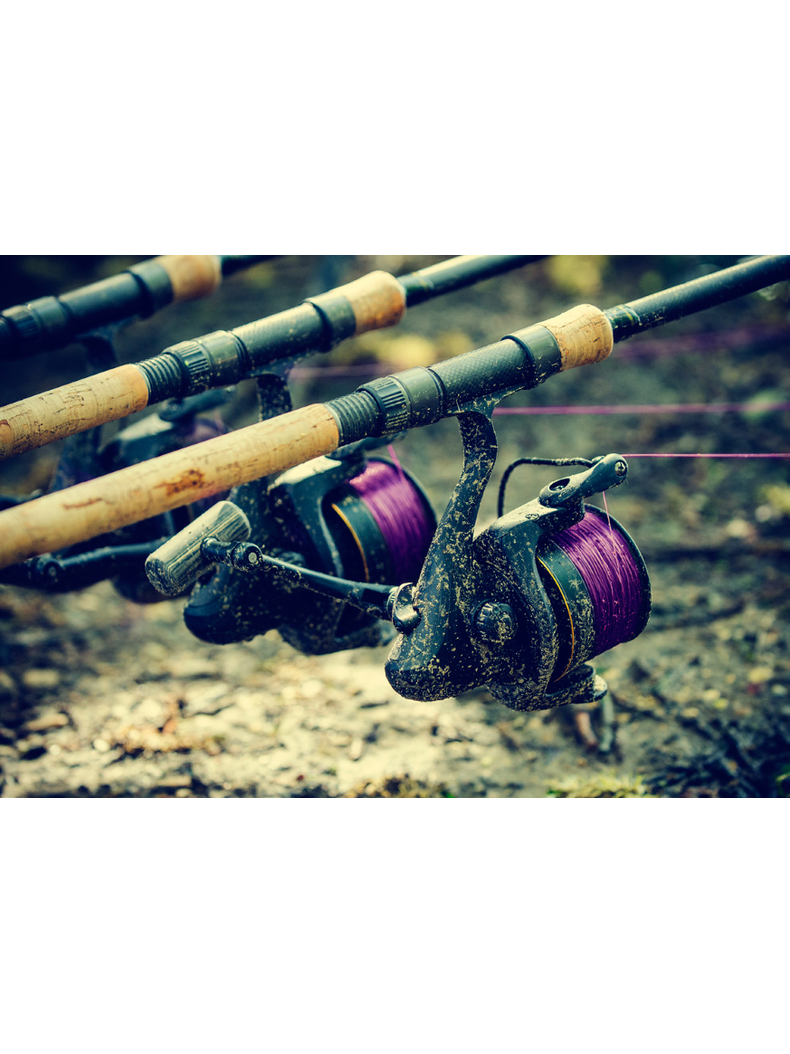 WYCHWOOD Леска DPF Carp Line - 0.28mm / 4.5kg (10lb) / 1000m - Purple/White, изображение 3