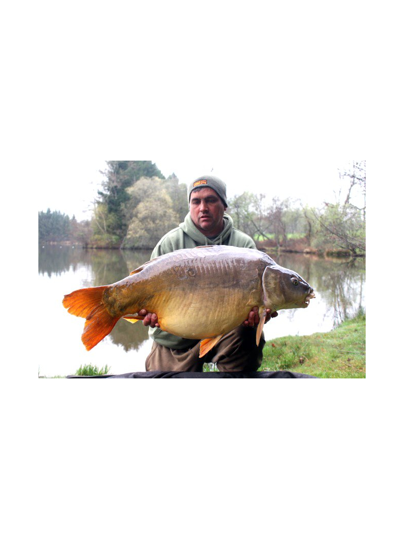 Бусины для крючка PB Products DT Shot-on the Hook Beads, Вес: 0.2 г, изображение 4 Бусины для крючка PB Products DT Shot-on the Hook Beads, Вес: 0.2 г, изображение 4