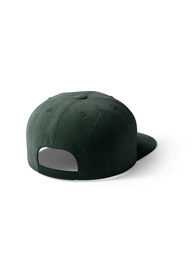 Кепка Carptoday Snapback Cap CARPFISHING Green & Gold Logo, изображение 2