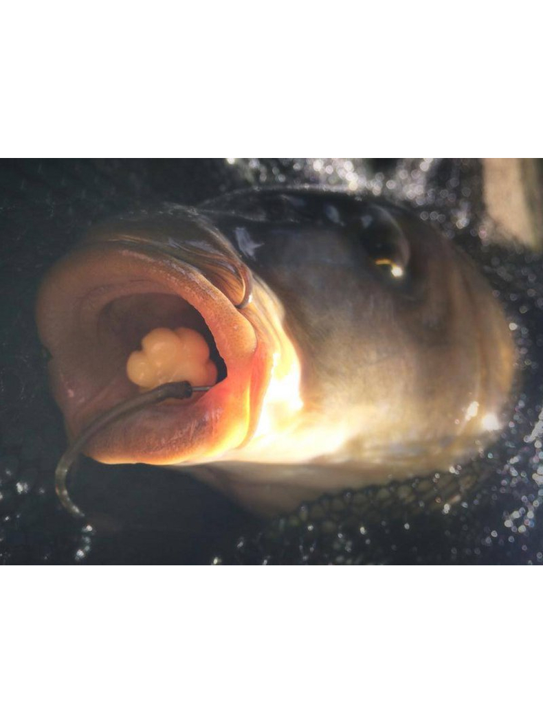 Искусственная плавающая приманка EVOLUTION CARP TACKLE Corn Balls GLOW, изображение 7