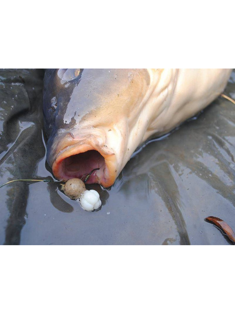 Искусственная плавающая приманка EVOLUTION CARP TACKLE Corn Balls CANDY PINK, изображение 6