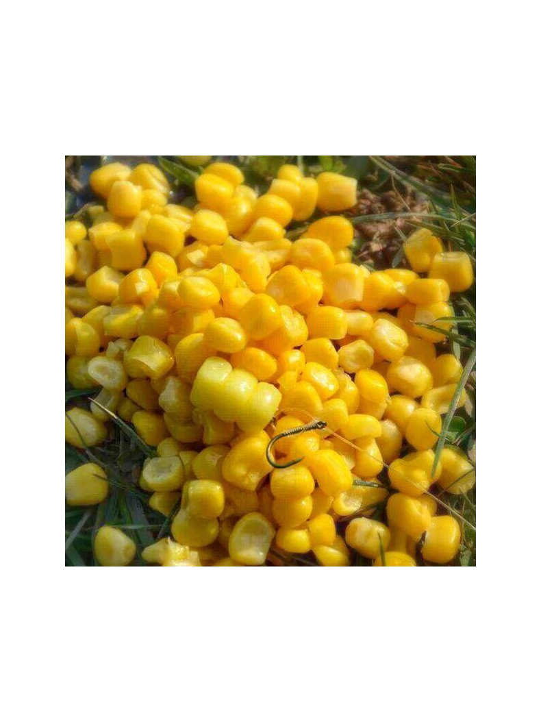 Искусственная плавающая приманка EVOLUTION CARP TACKLE Corn Stacks BLACK, изображение 4