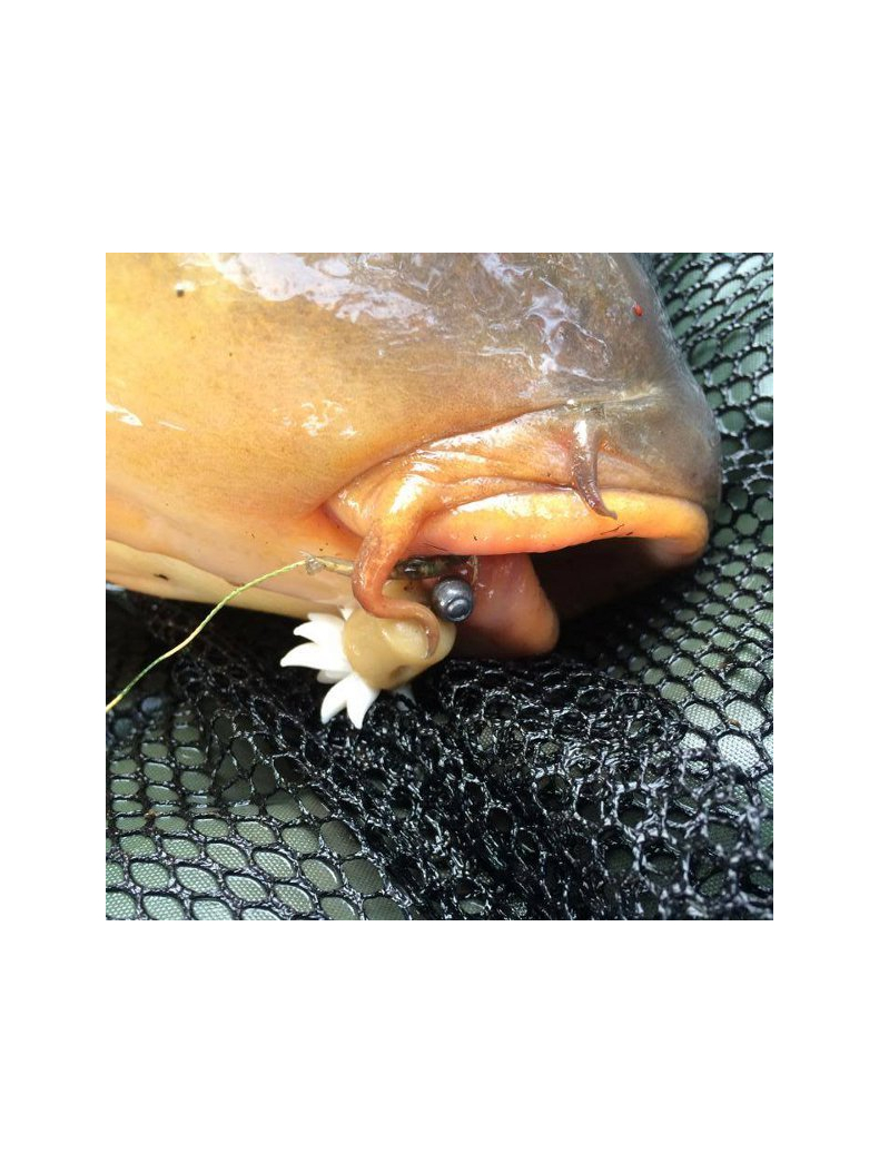 Искусственная плавающая приманка EVOLUTION CARP TACKLE Dumb Bell System Washed Out Pellet CREAM, изображение 6