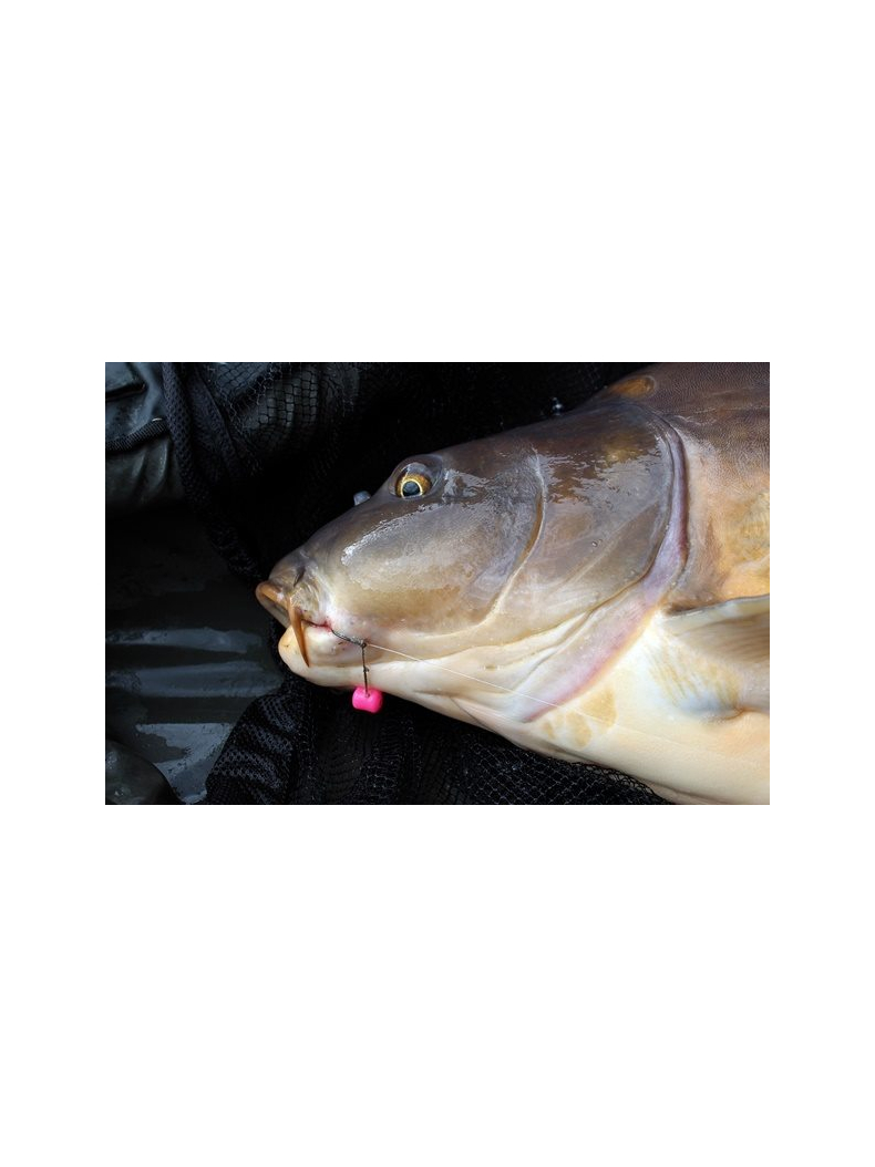 Искусственная плавающая приманка EVOLUTION CARP TACKLE Dumb Bell System PURPLE, изображение 5